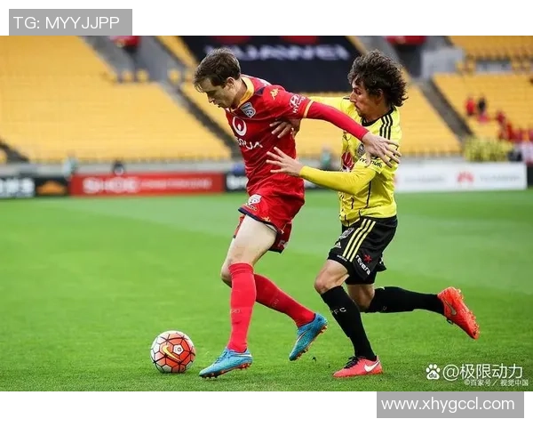 布里斯班主场迎战西部联双方争夺关键积分激战即将上演