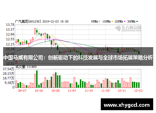 中国马威有限公司：创新驱动下的科技发展与全球市场拓展策略分析