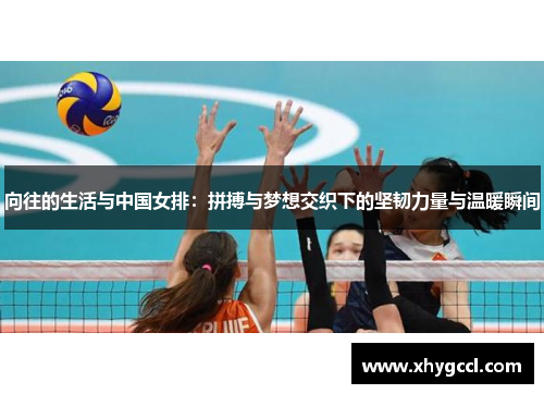 向往的生活与中国女排：拼搏与梦想交织下的坚韧力量与温暖瞬间