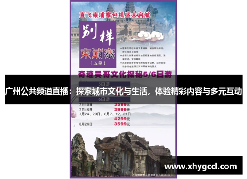 广州公共频道直播：探索城市文化与生活，体验精彩内容与多元互动