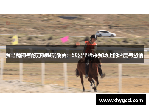 赛马精神与耐力极限挑战赛：50公里骑乘赛场上的速度与激情