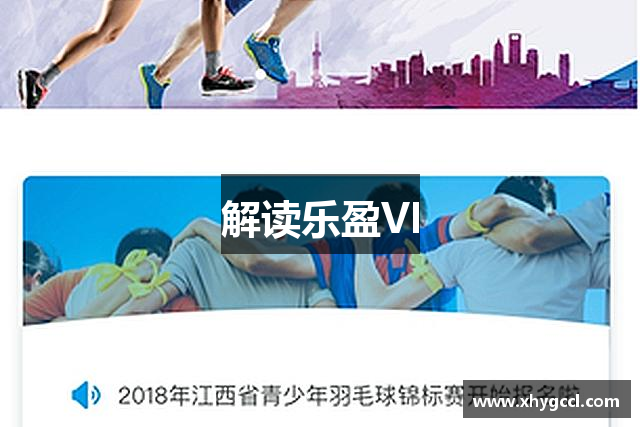 解读乐盈VI